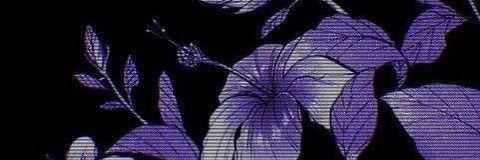 tyxszk's profile banner image