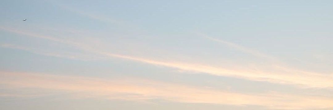Aliae banner