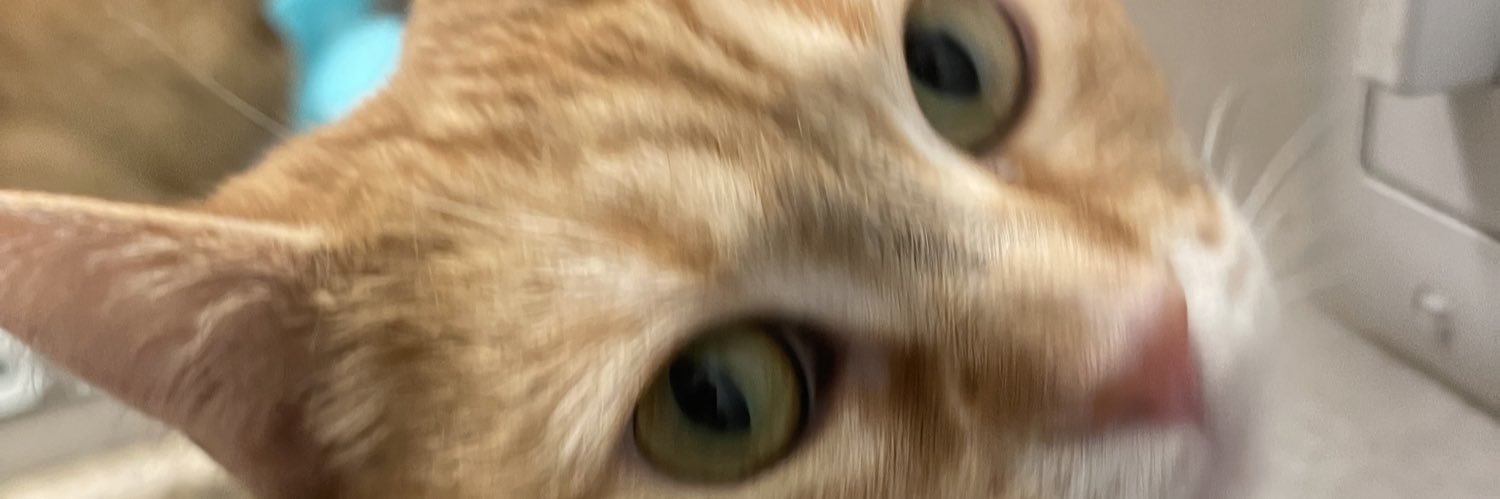 Mexicoguy's profile banner image