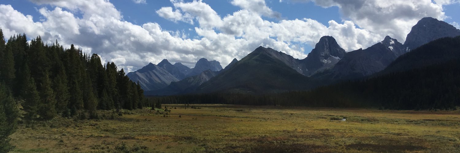 Colby Robertson banner