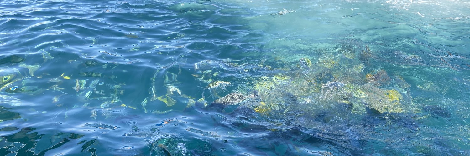 ROSARITOPS's profile banner image