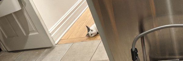 TailTippy Profile Banner