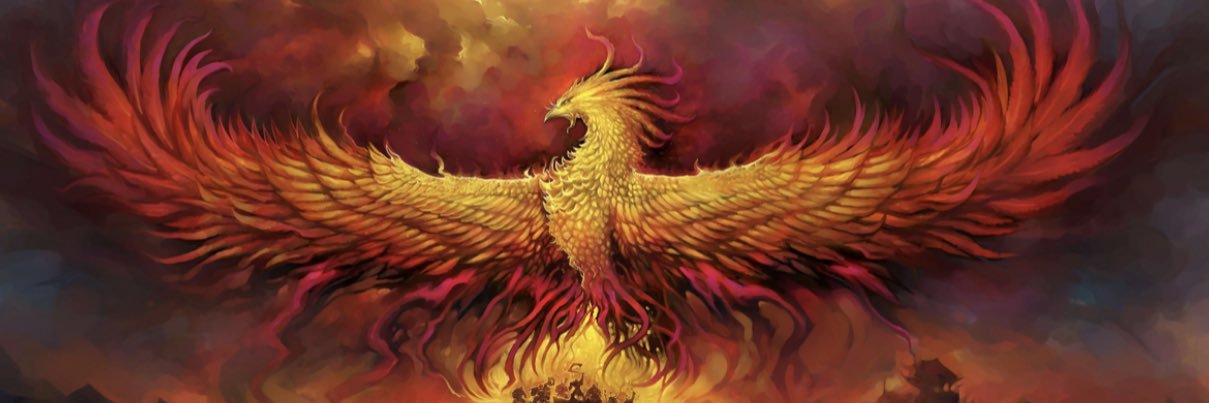 xandraul's profile banner image
