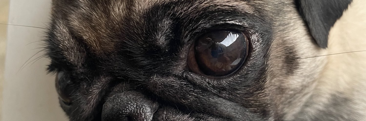 JAYances's profile banner image