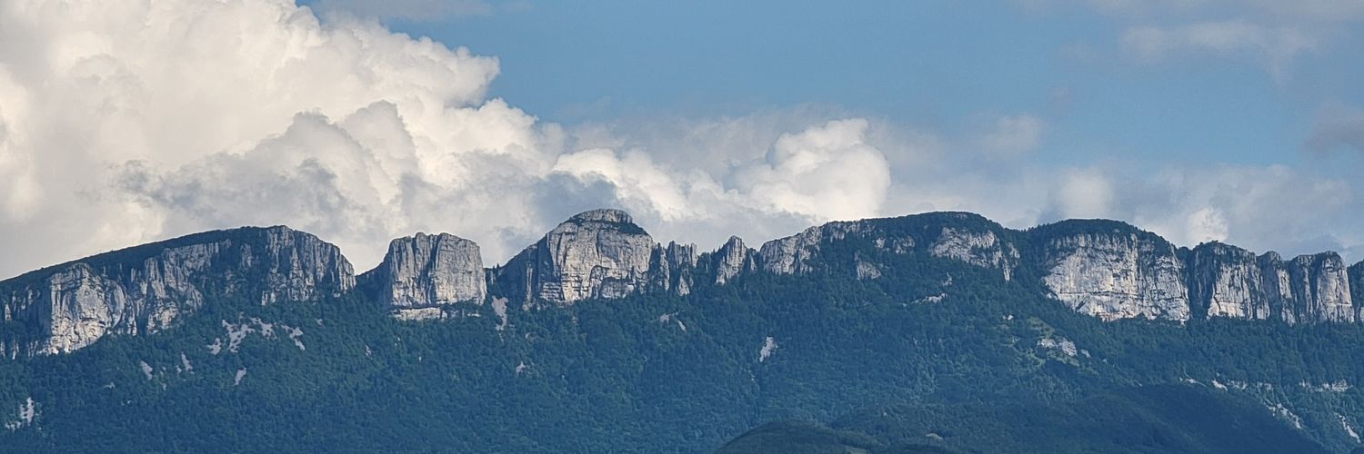 stephanehaddad's profile banner image