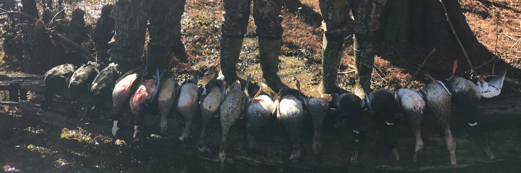 AustinWalker26's profile banner image