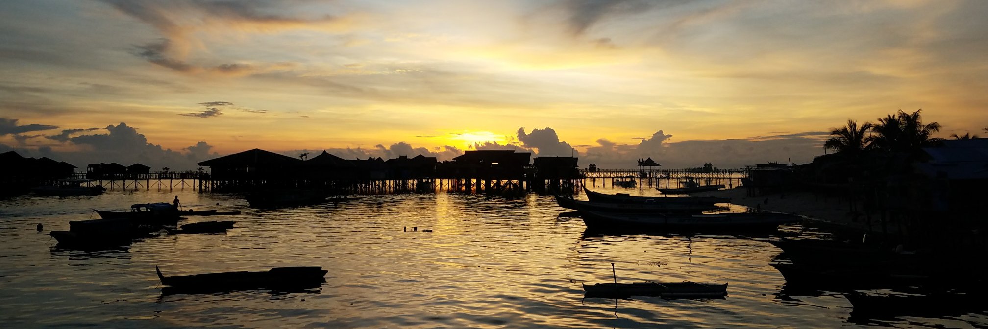 Ryan Seashore banner