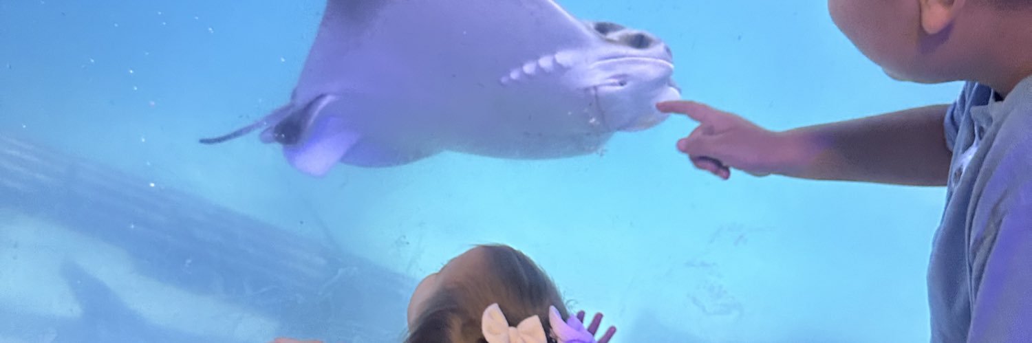 SarahhSanchez__'s profile banner image