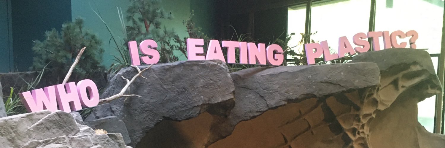 YetiTranscends's profile banner image