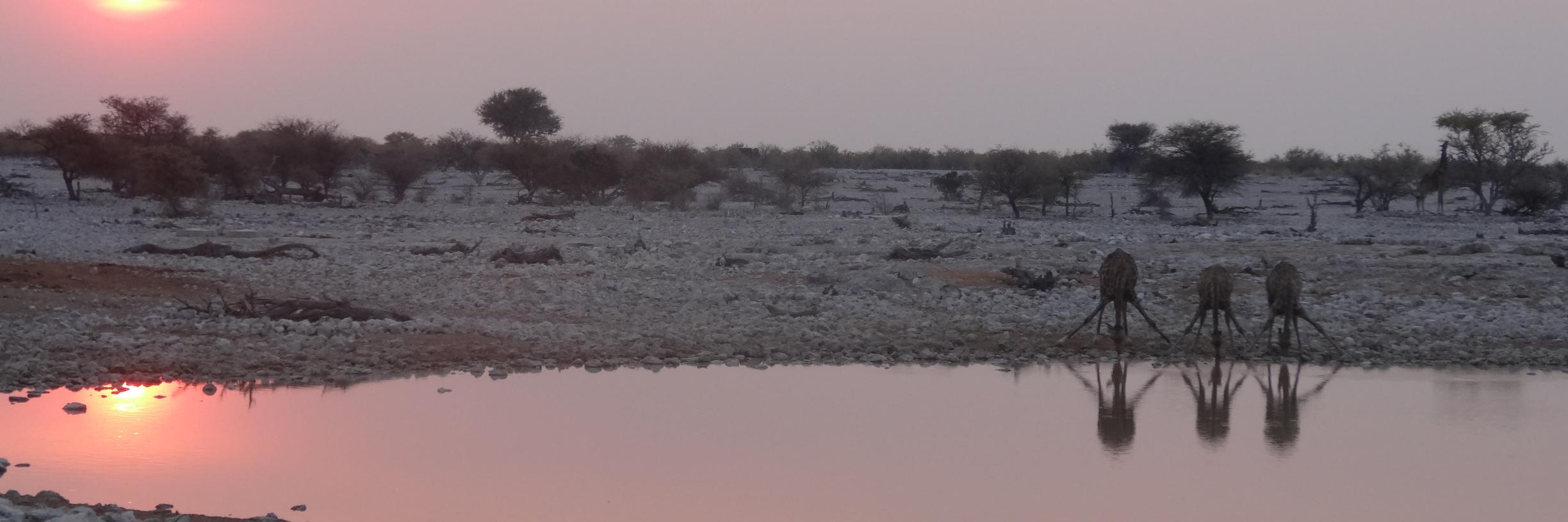 Thomas D. Bennett banner