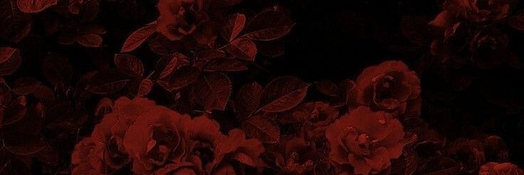 BeckyAmity's profile banner image