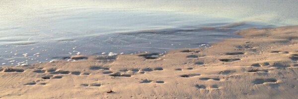 carlosduartephd Profile Banner