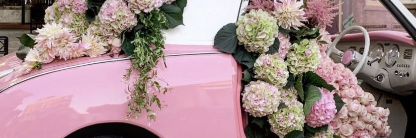 _moooll's profile banner image
