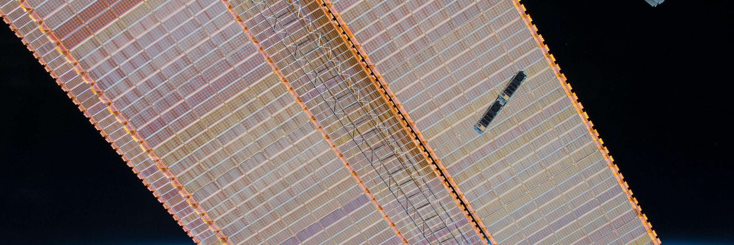 Lisa tweeting for Beep tweeting for Lisa banner