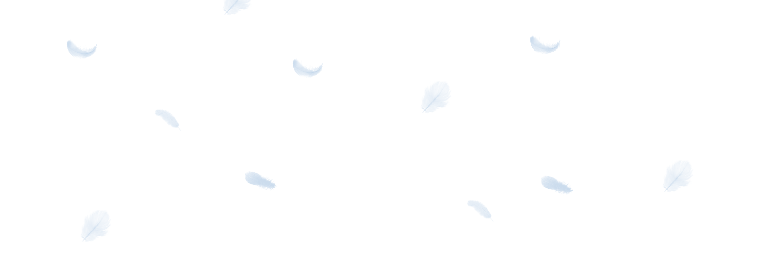 beautifyinglife's profile banner image