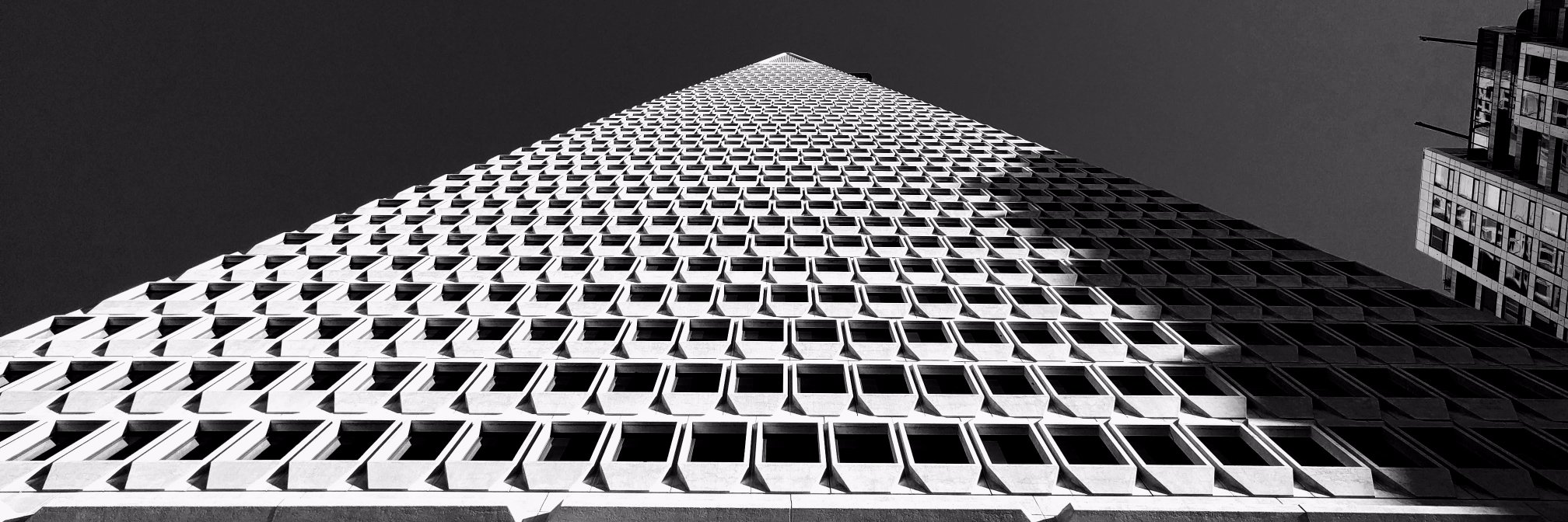 Tim Sweeney 🧢 banner