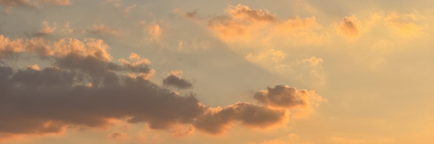 itsLinnea's profile banner image