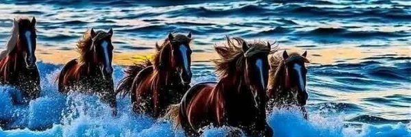 Rrfarasha Profile Banner