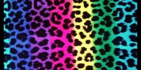 Anavisol's profile banner image