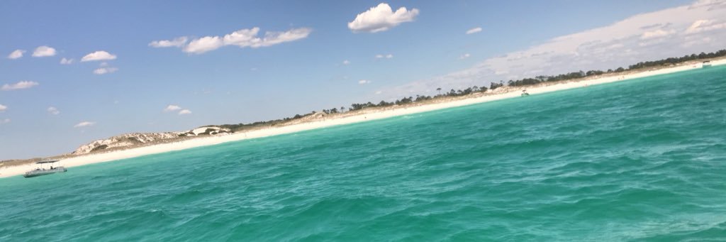 briannabrasch's profile banner image