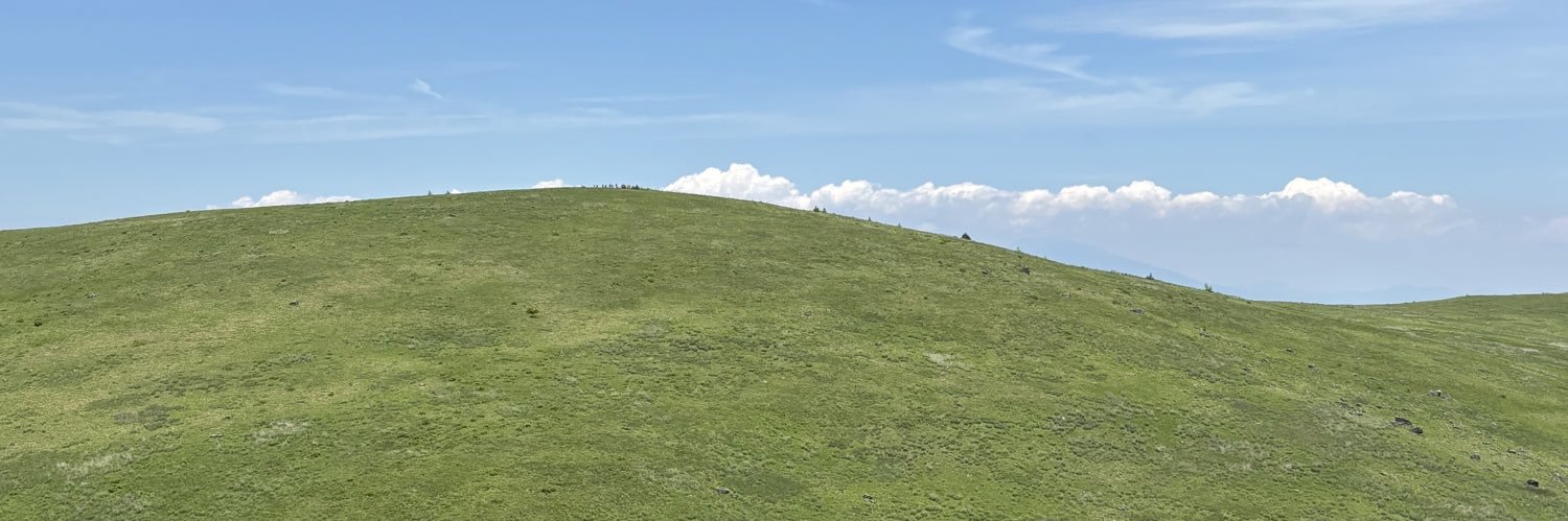 Numaティス banner