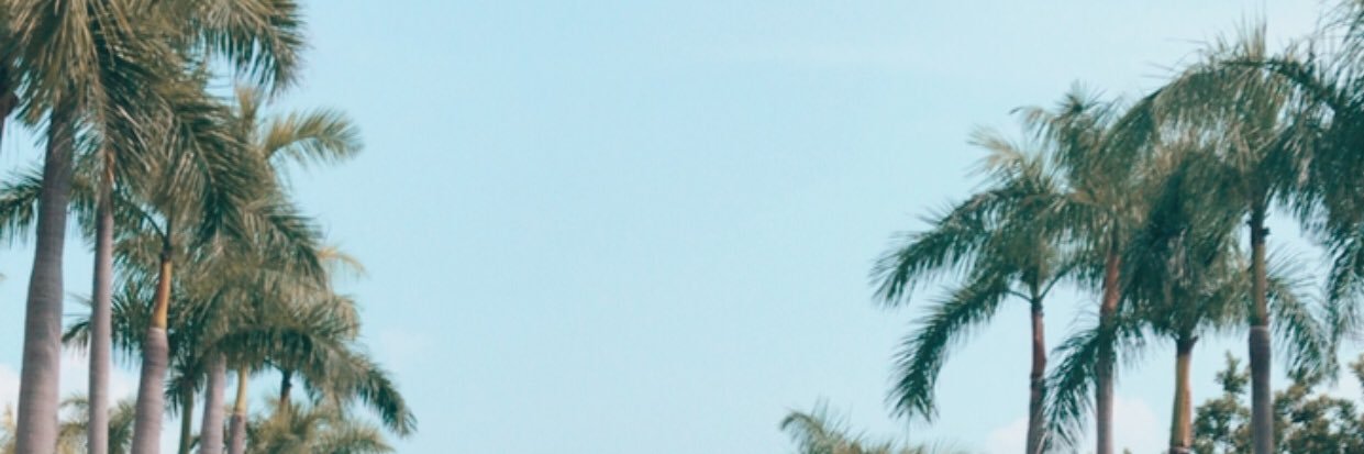 fern banner