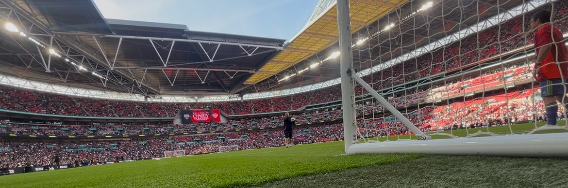 Terry Smith banner
