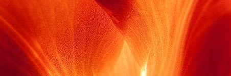 sabquinones's profile banner image