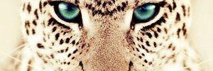 gabrielammch's profile banner image
