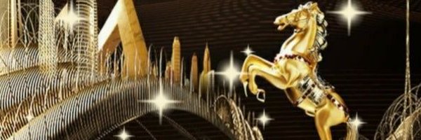 X2yQEM55 Profile Banner