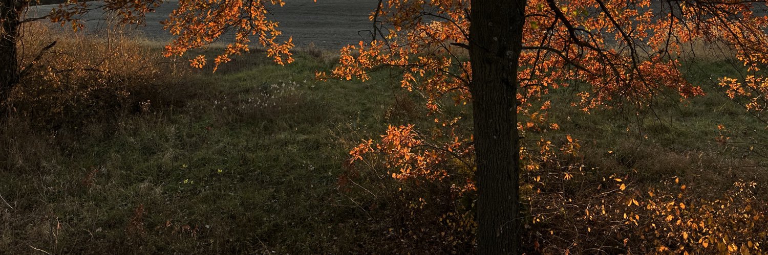 flint (was) Armstrong banner