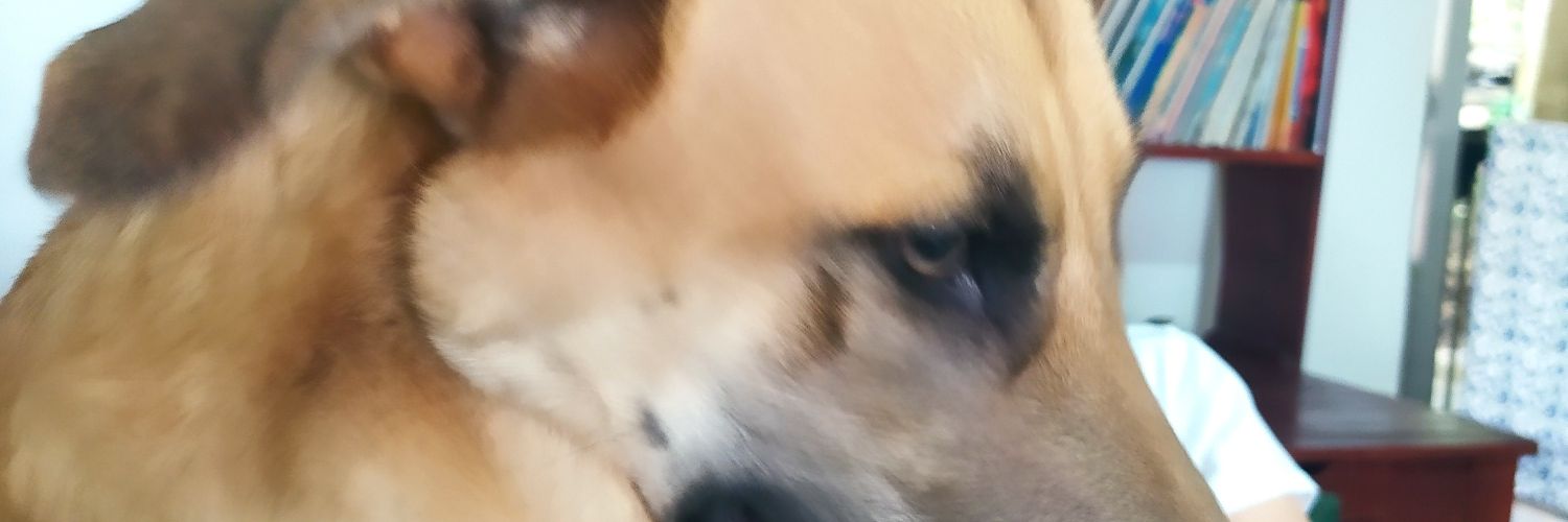 AdolfoMateuz's profile banner image