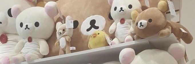 🐻 banner