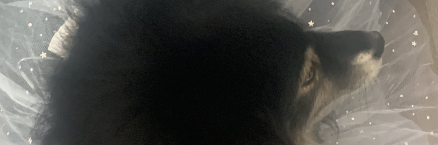 Bailama81's profile banner image