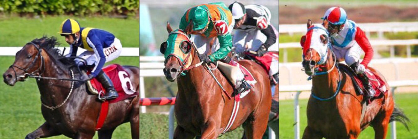 Haci İpek Harası banner