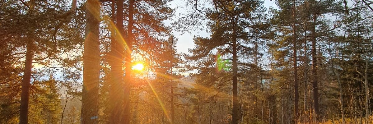 astokell97's profile banner image