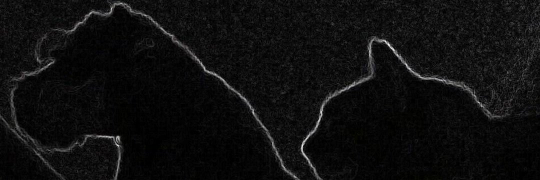 Lilian banner