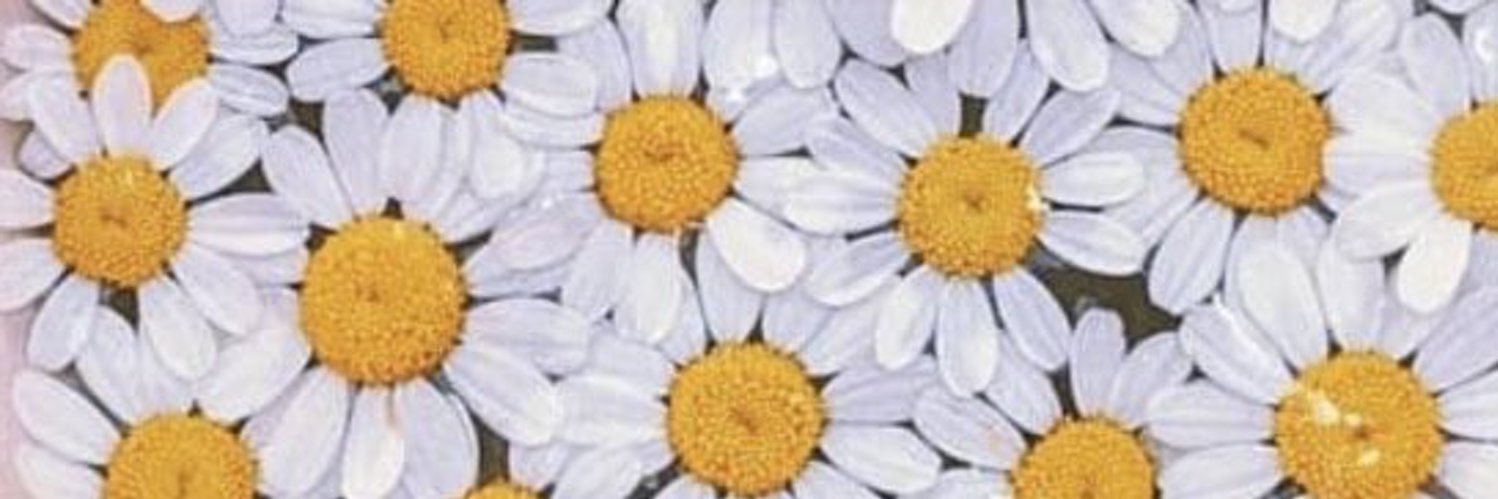 OlZmu's profile banner image