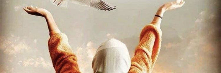 loo120's profile banner image