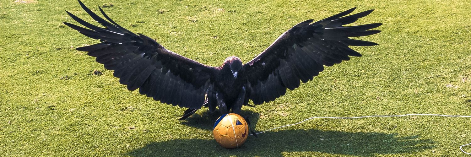 joseriosvazquez's profile banner image
