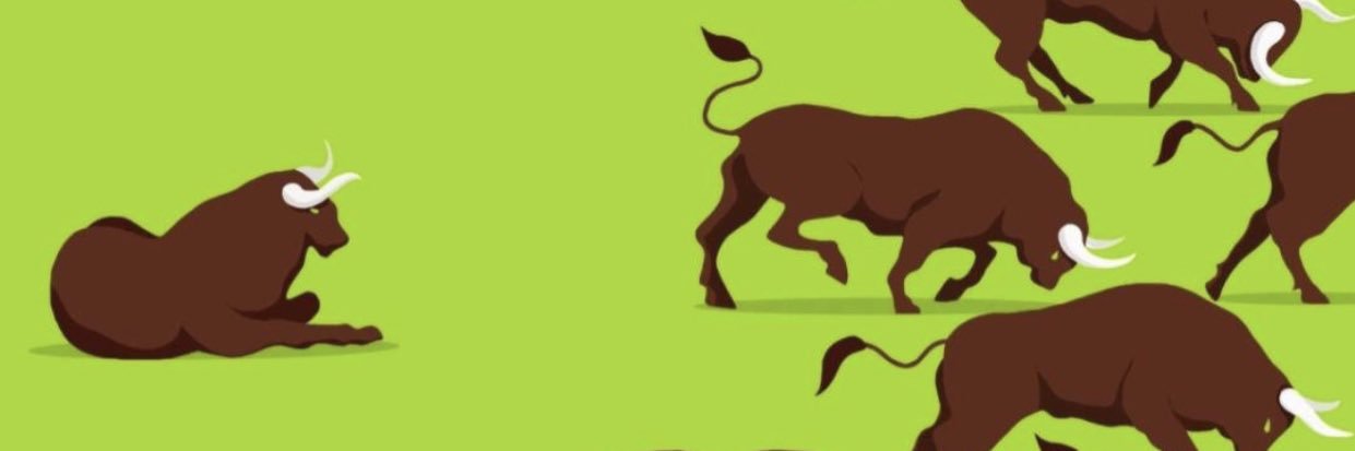 chaimaishai's profile banner image