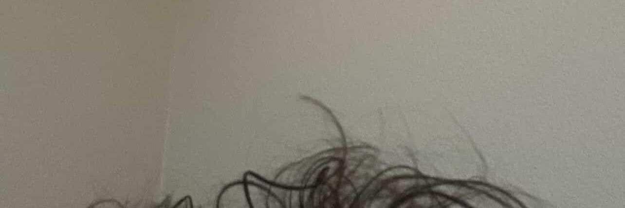 LexiZen__'s profile banner image