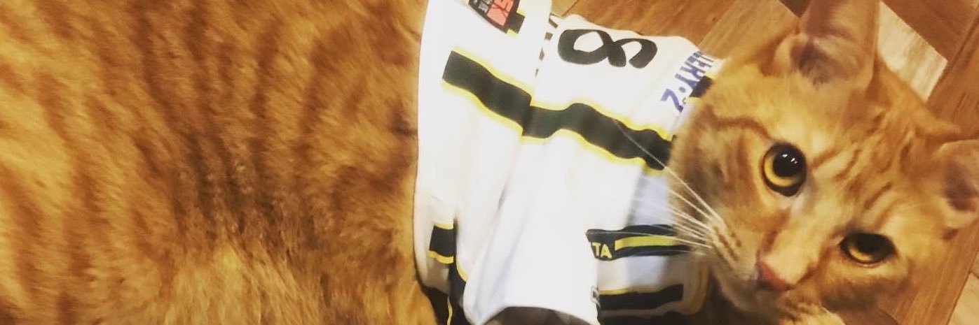 nyaaamooo's profile banner image