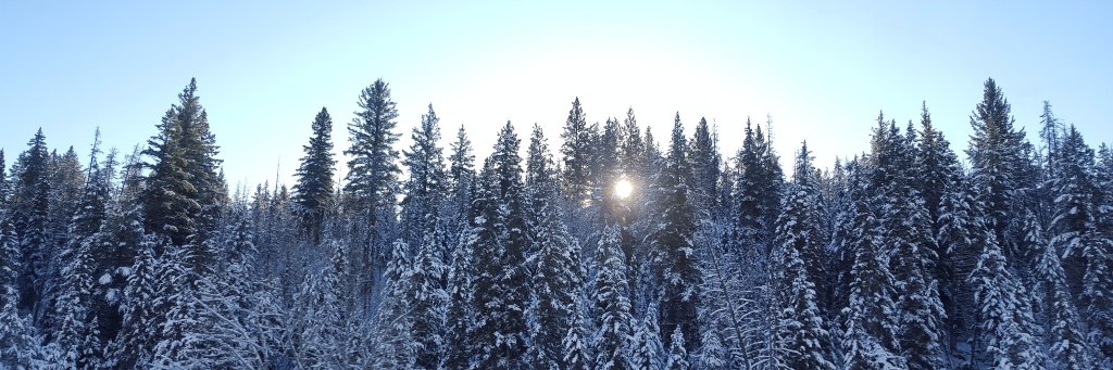 AmyBerard's profile banner image