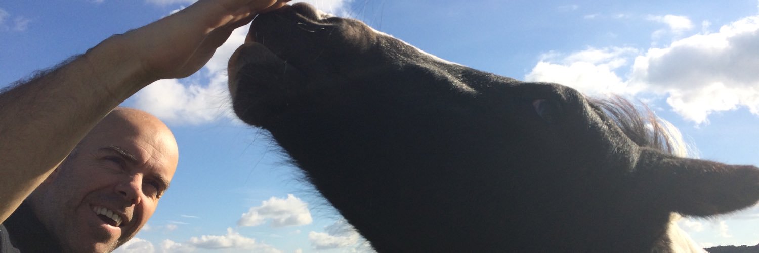 rodbogs's profile banner image