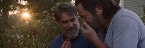 robertaestefan's profile banner image