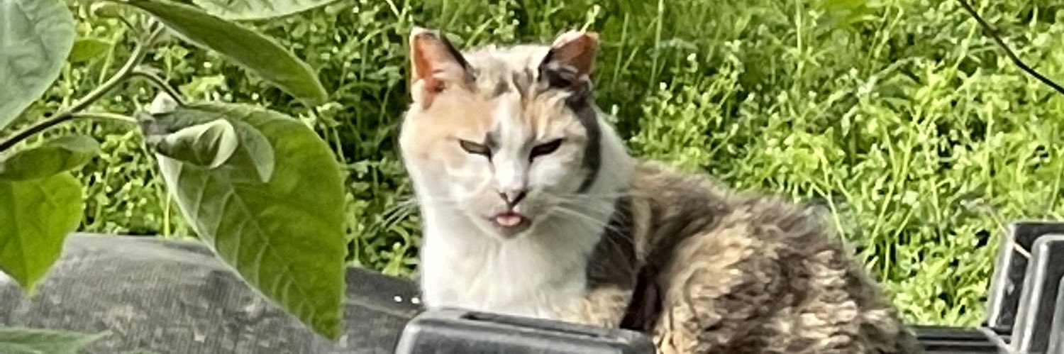 crybabebb's profile banner image