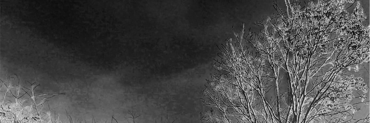 Larissa Katley banner