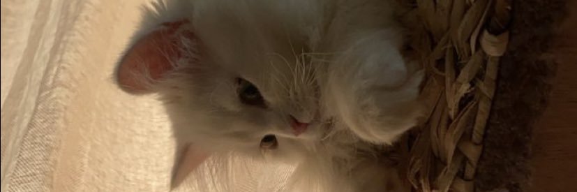 َ banner