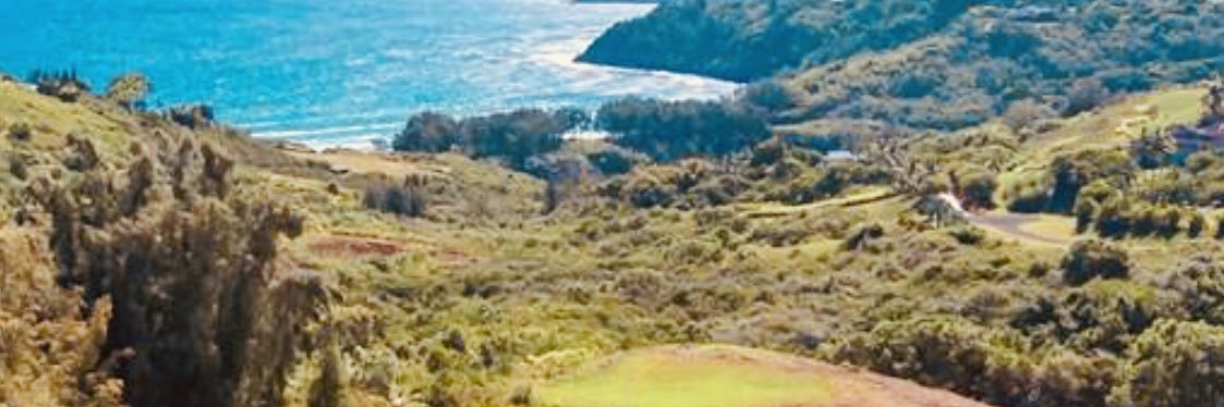 bethbwoods's profile banner image